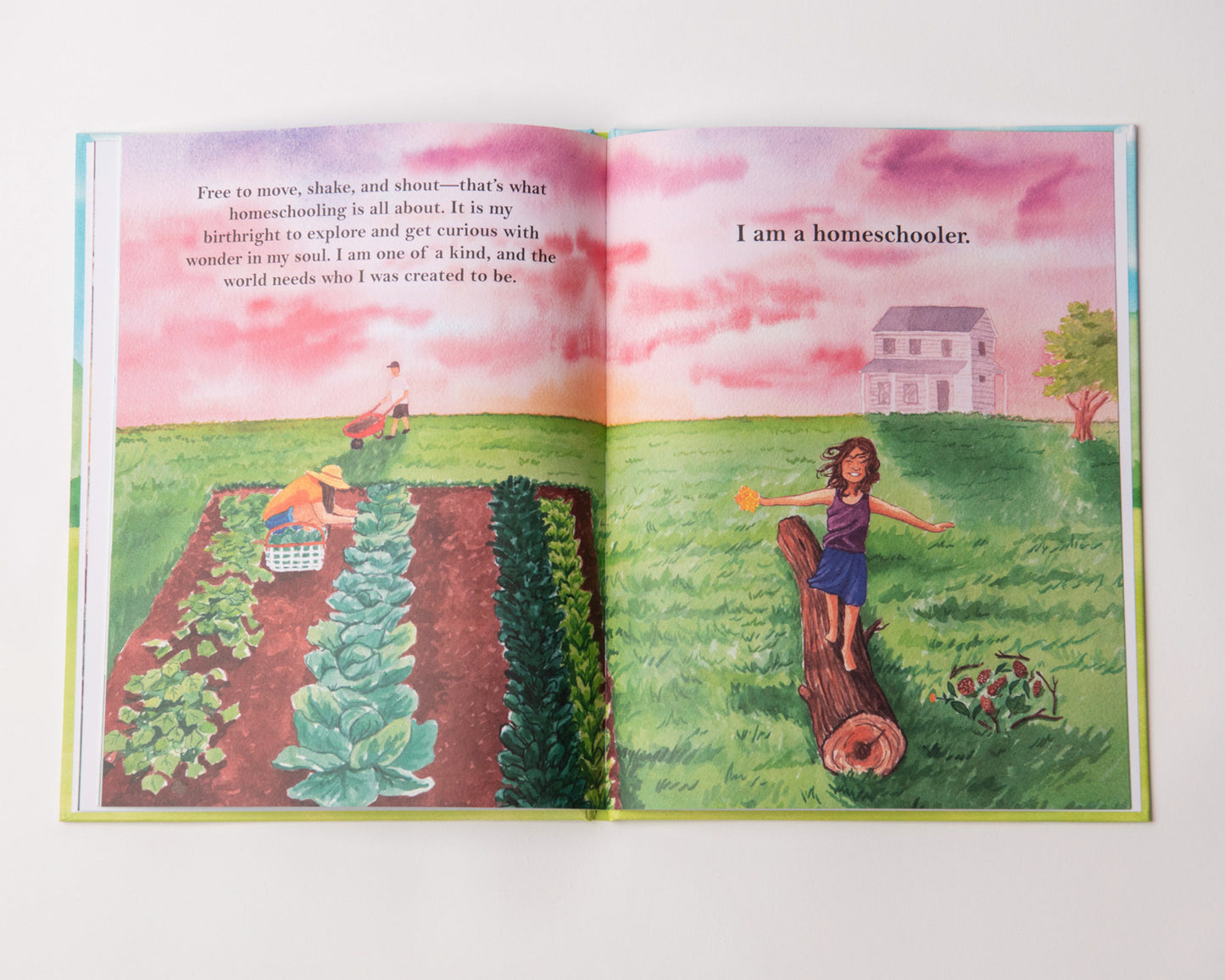 Homeschooler, Homeschool kids books, Children's book about homeschooling, Books about homeschoolers, Books about Homeschool, Books about Homeschooling, I Am a Homeschooler Children's Book, homeschool books for kindergarten, books for homeschoolers, books for homeschool kids, books for homeschooled kids, I Am a Homeschooler, Allison Ryver